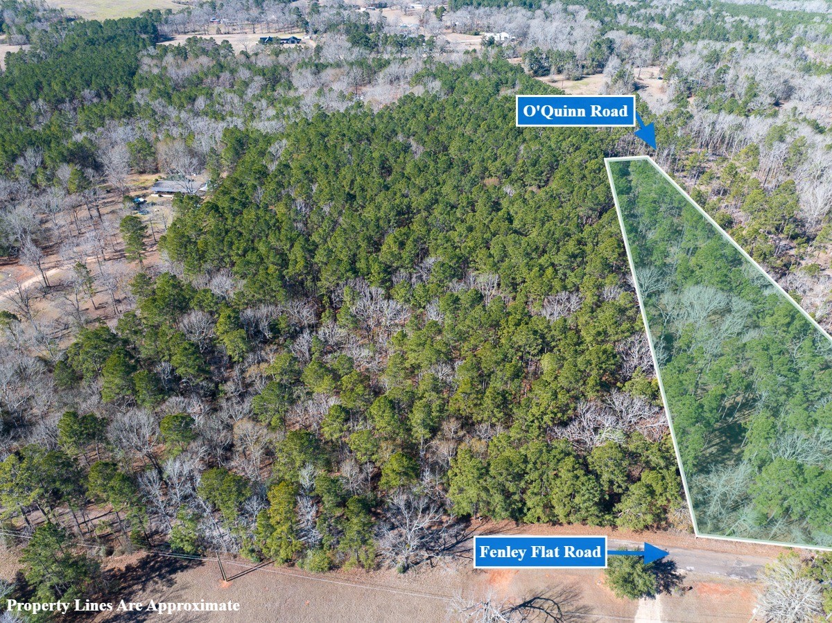 1 O'Quinn Road Pollok, TX 75969 - Photo 2 of 30