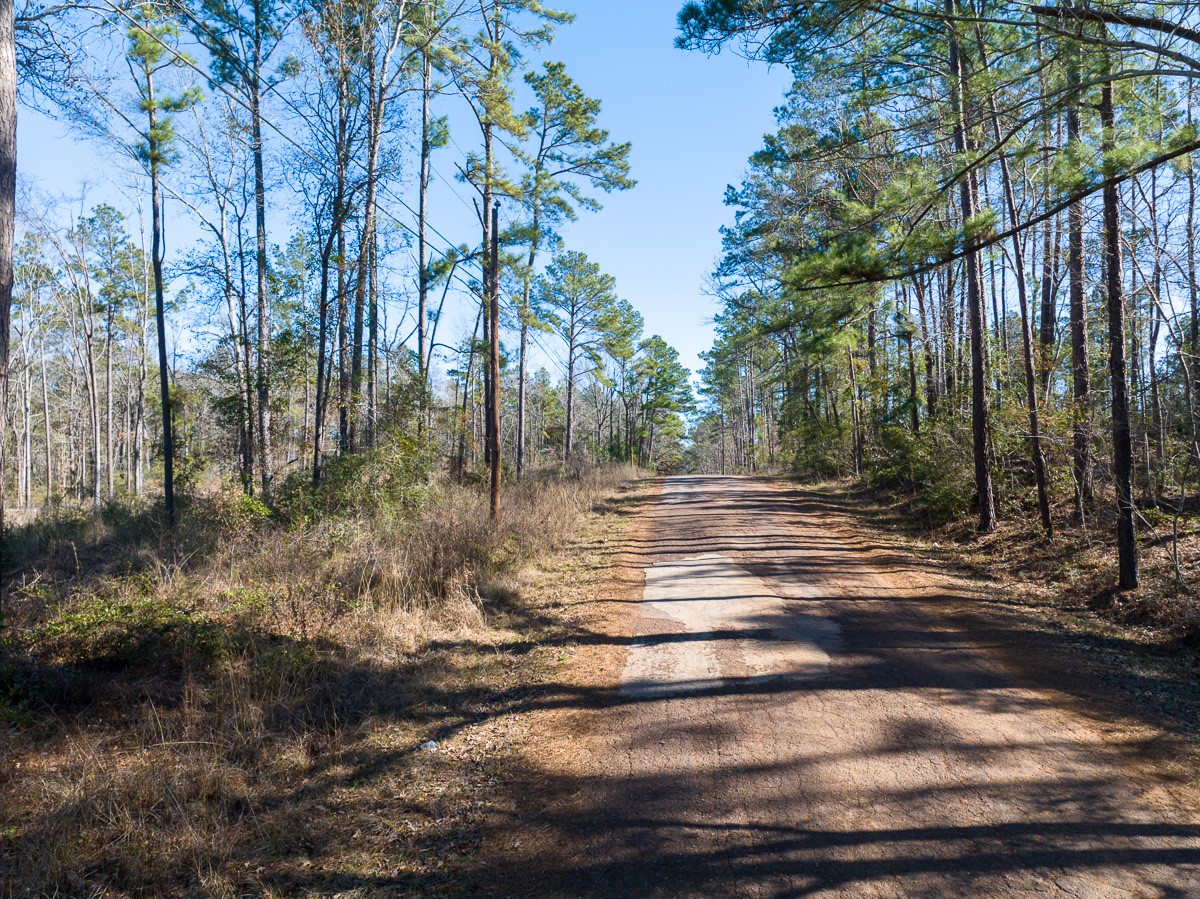 1 O'Quinn Road Pollok, TX 75969 - Photo 21 of 30