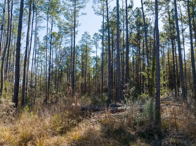 $90,000 | 1 O'Quinn Road, Pollok, TX 75969