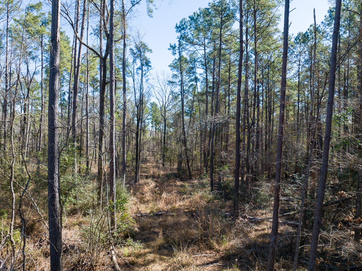 1 O'Quinn Road Pollok, TX 75969 - Photo 25 of 30