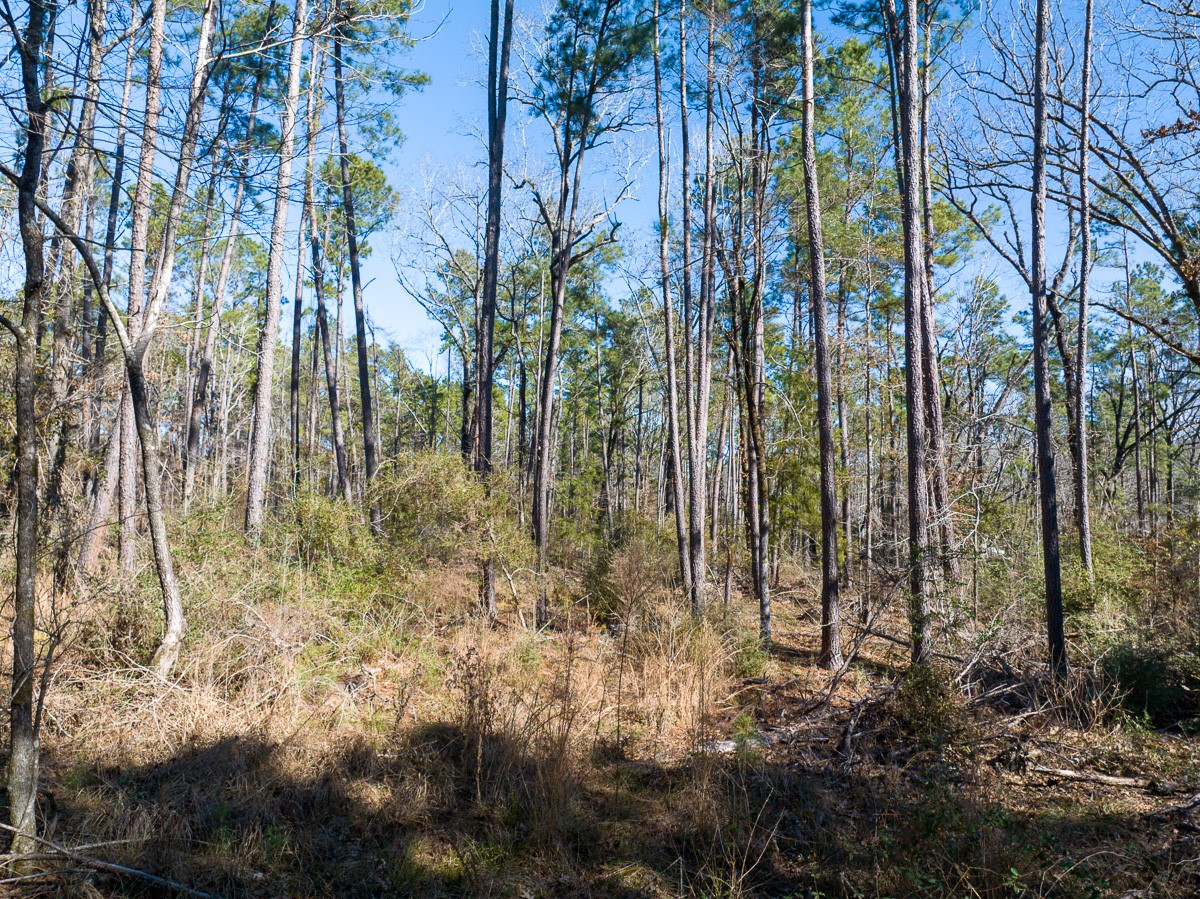 1 O'Quinn Road Pollok, TX 75969 - Photo 27 of 30