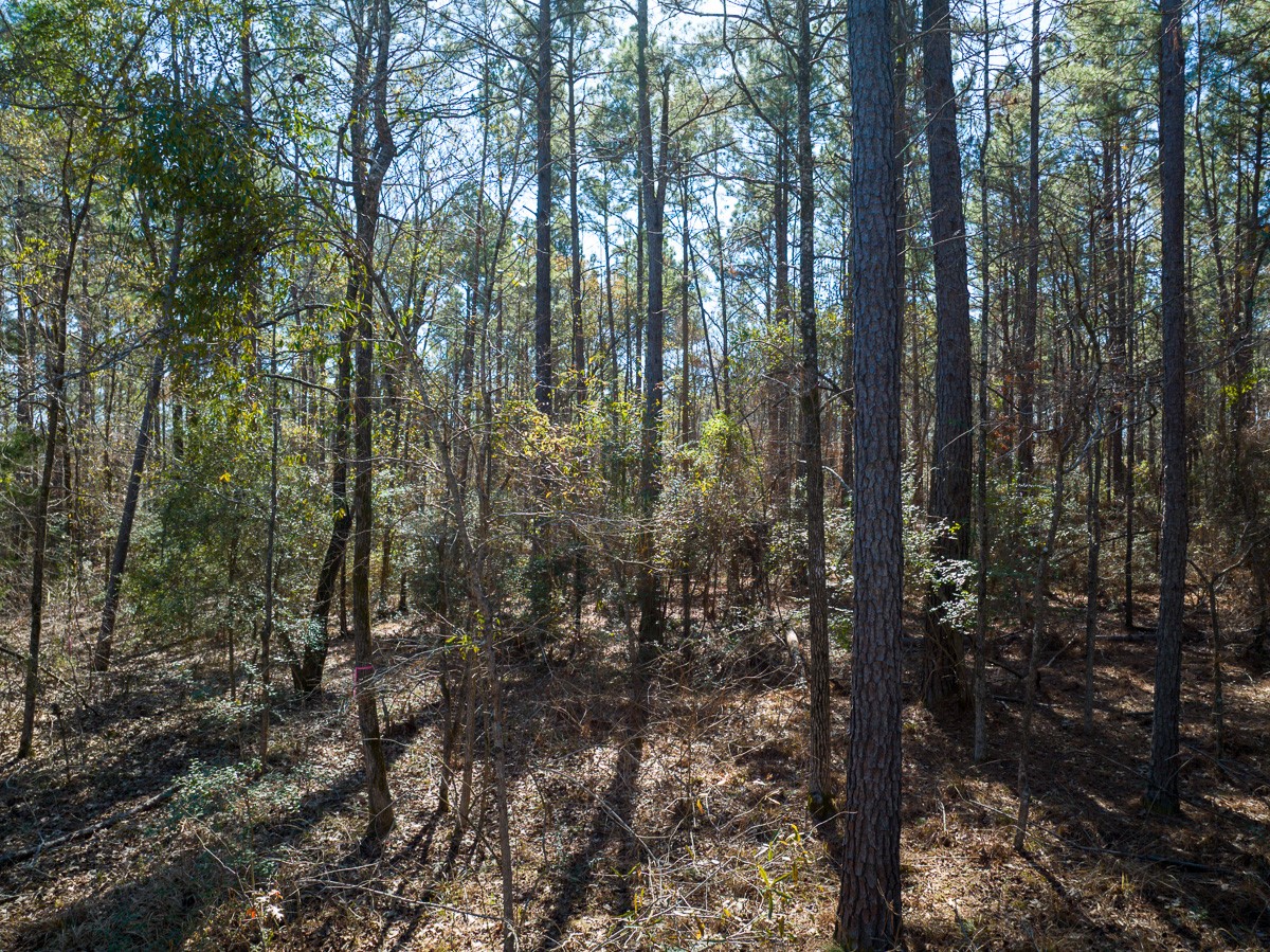 1 O'Quinn Road Pollok, TX 75969 - Photo 28 of 30