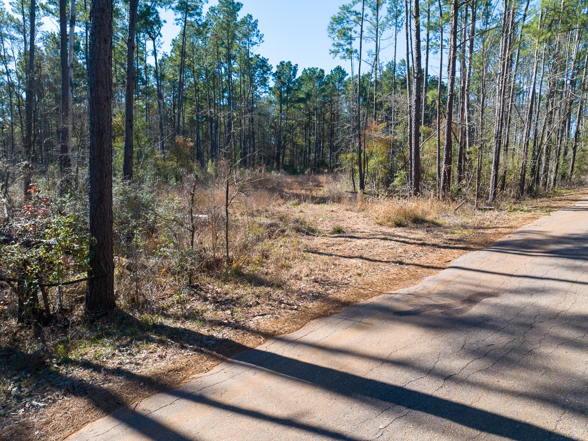 1 O'Quinn Road Pollok, TX 75969 - Photo 29 of 30