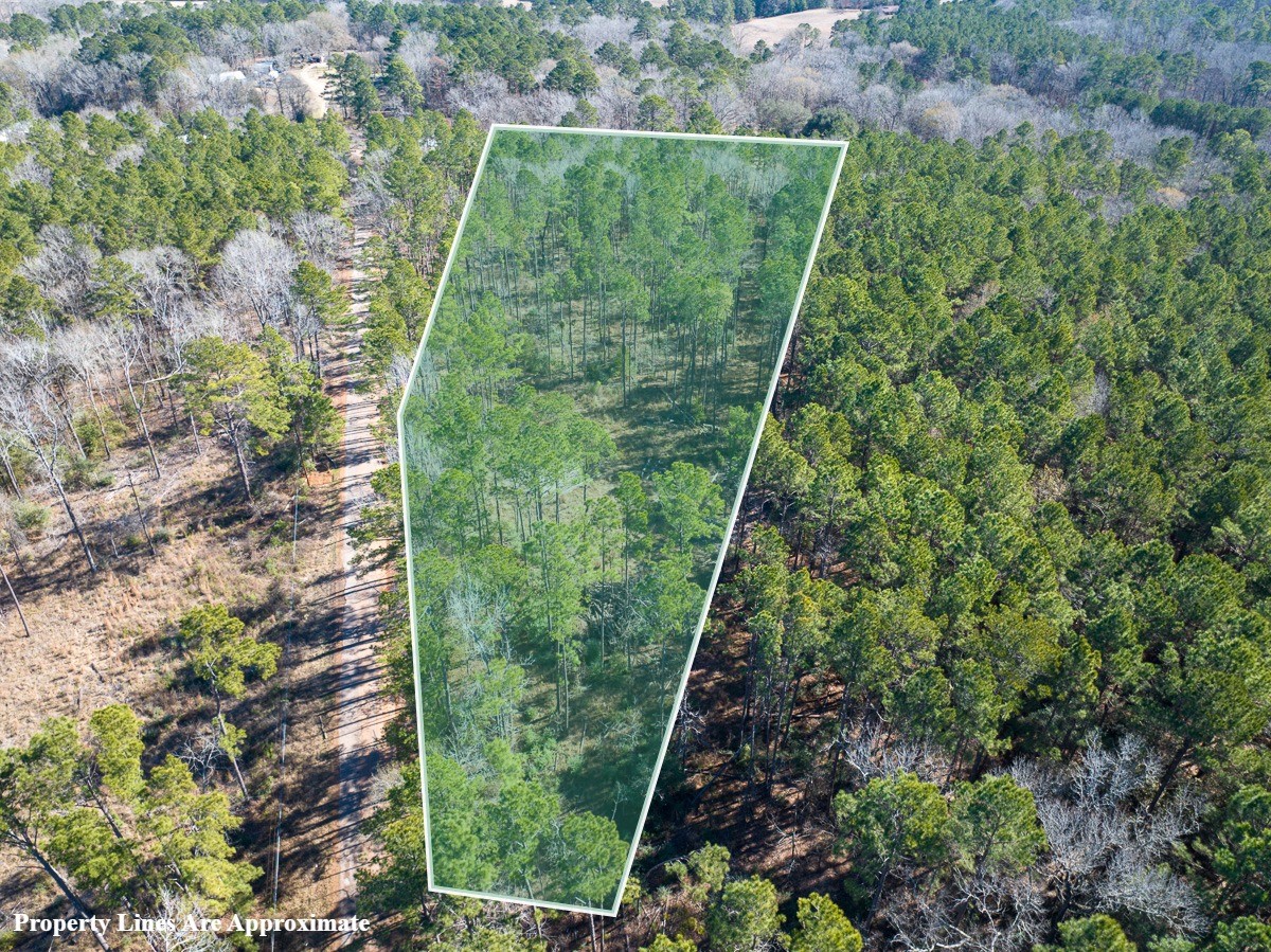 1 O'Quinn Road Pollok, TX 75969 - Photo 3 of 30