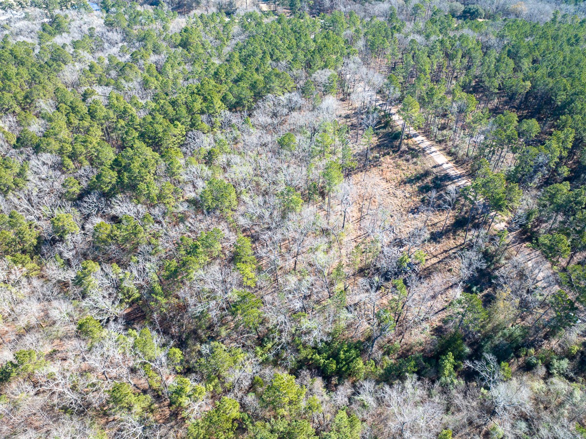 1 O'Quinn Road Pollok, TX 75969 - Photo 4 of 30