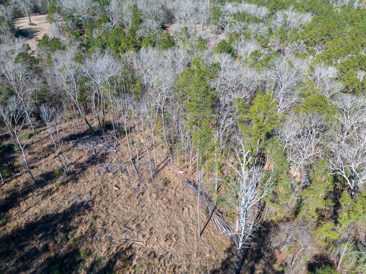 1 O'Quinn Road Pollok, TX 75969 - Photo 8 of 30