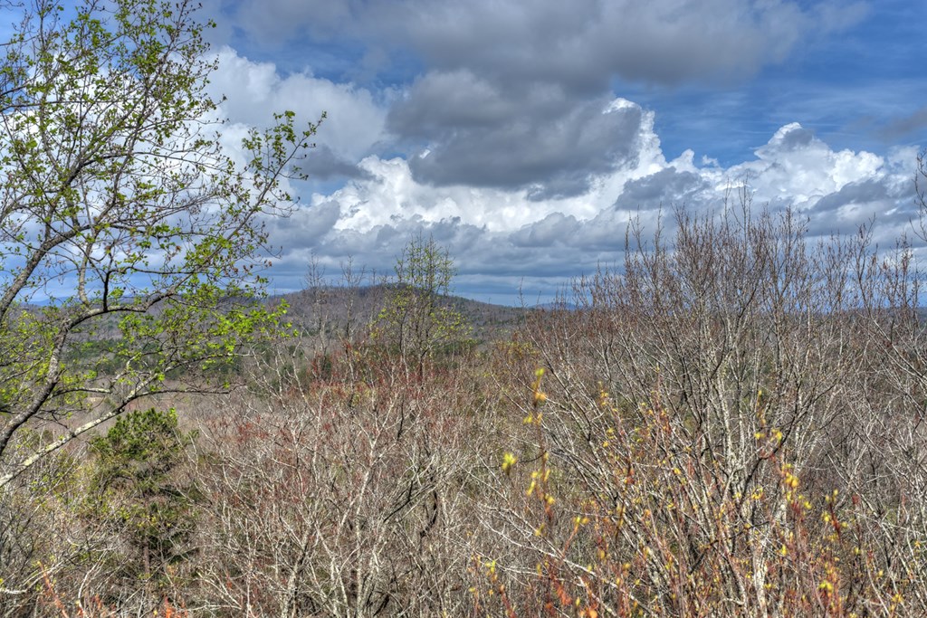 57 Meadow Hill Morganton, GA 30560 - Photo 2 of 59 Blue Ridge Mountain Air