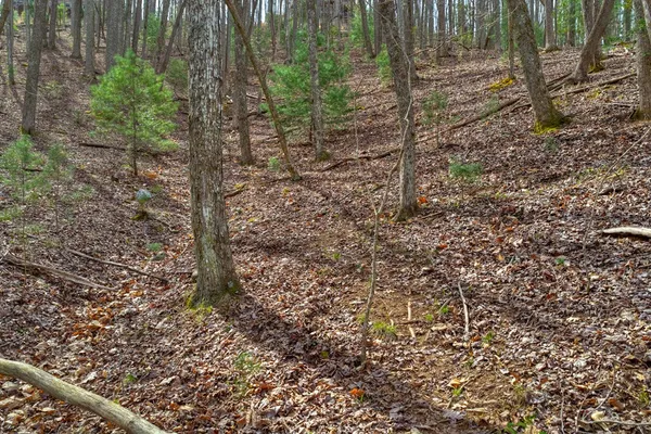 $265,000 | 57 Meadow Hill, Morganton, GA 30560