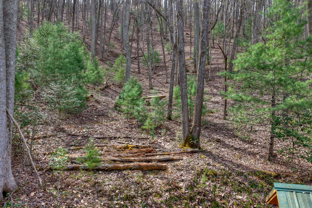 57 Meadow Hill Morganton, GA 30560 - Photo 27 of 59 a backyard of a house with lots of green space