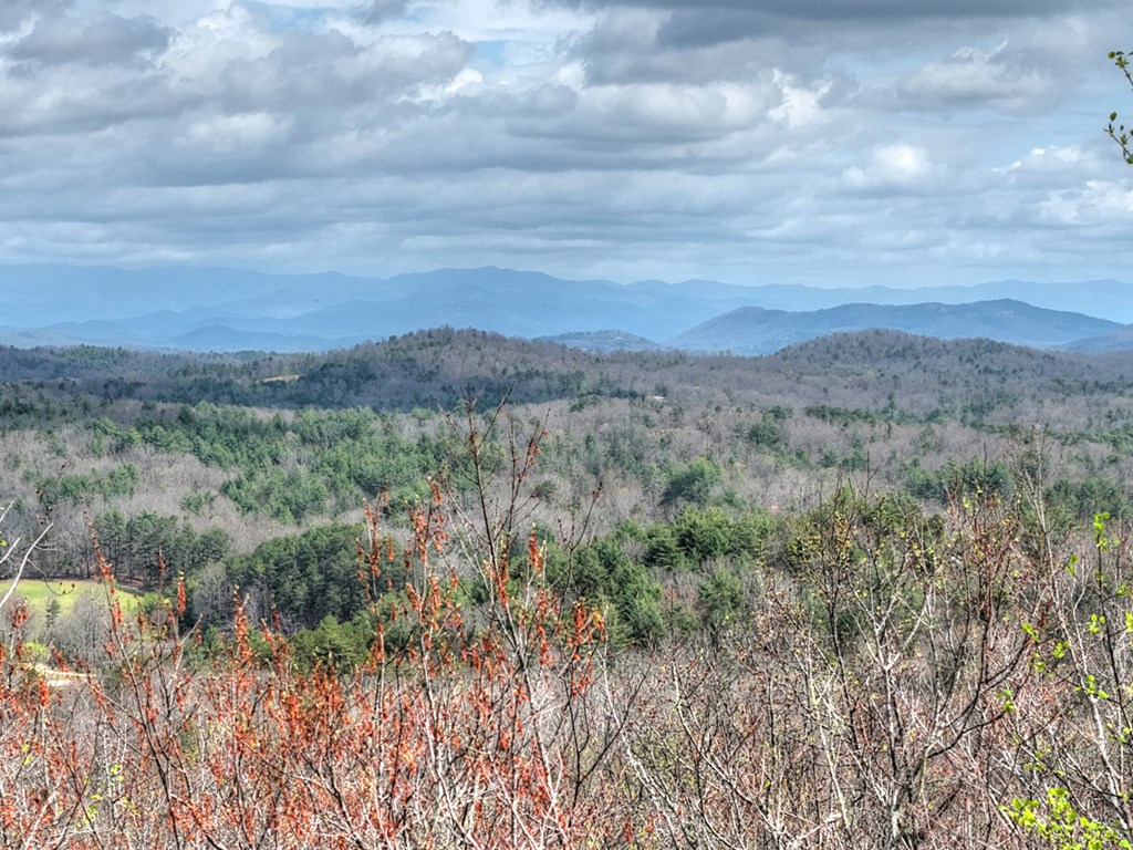 57 Meadow Hill Morganton, GA 30560 - Photo 30 of 59 a view of mountains and valleys in the background