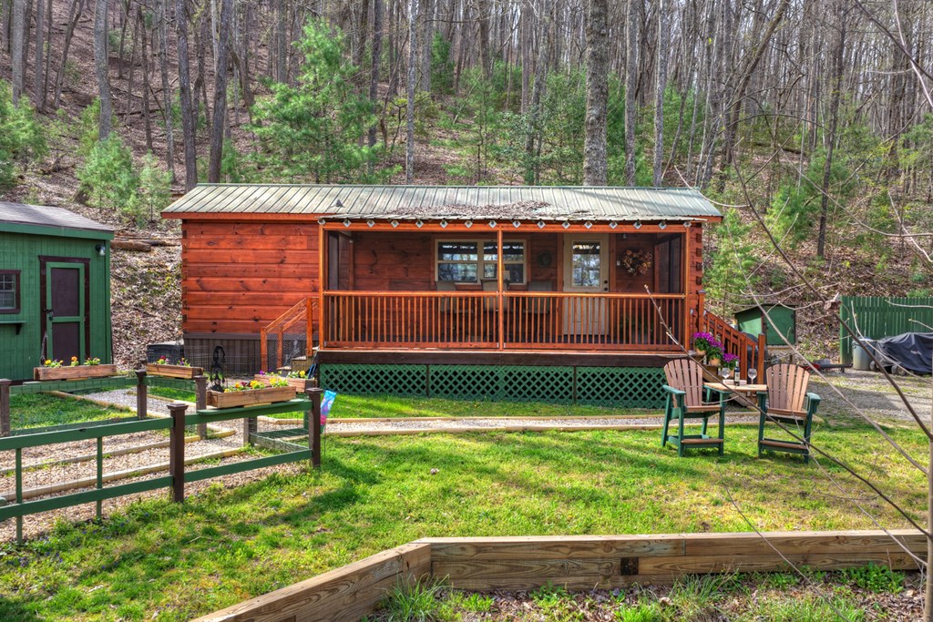 57 Meadow Hill Morganton, GA 30560 - Photo 3 of 59 a view of backyard with table and chairs and potted plants