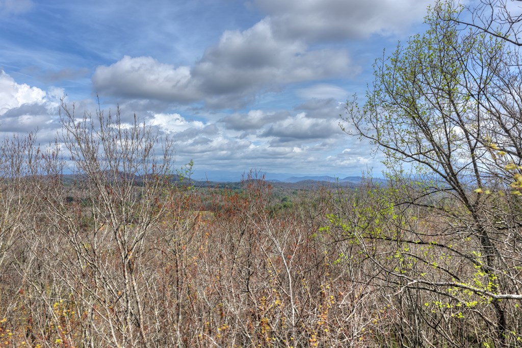 57 Meadow Hill Morganton, GA 30560 - Photo 36 of 59 a view of a lake
