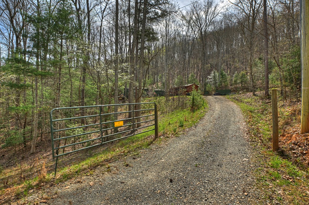 57 Meadow Hill Morganton, GA 30560 - Photo 57 of 59 a view of a pathway with a yard