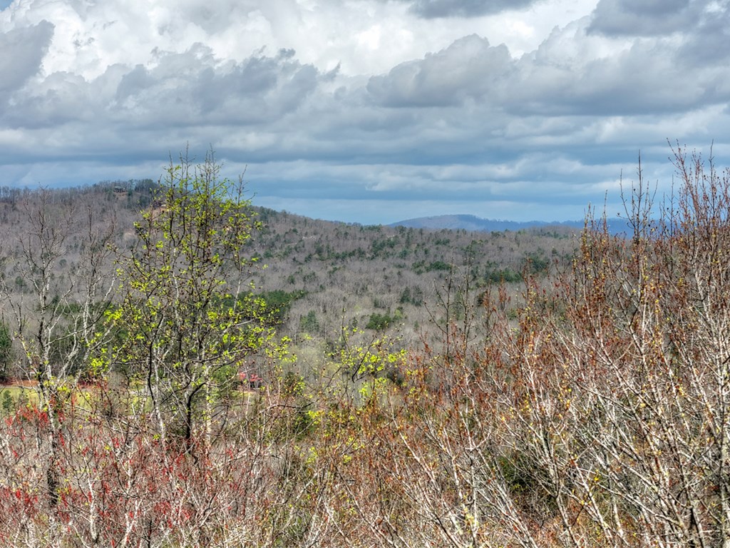57 Meadow Hill Morganton, GA 30560 - Photo 59 of 59 Unrestricted / no HOA — flexible use
