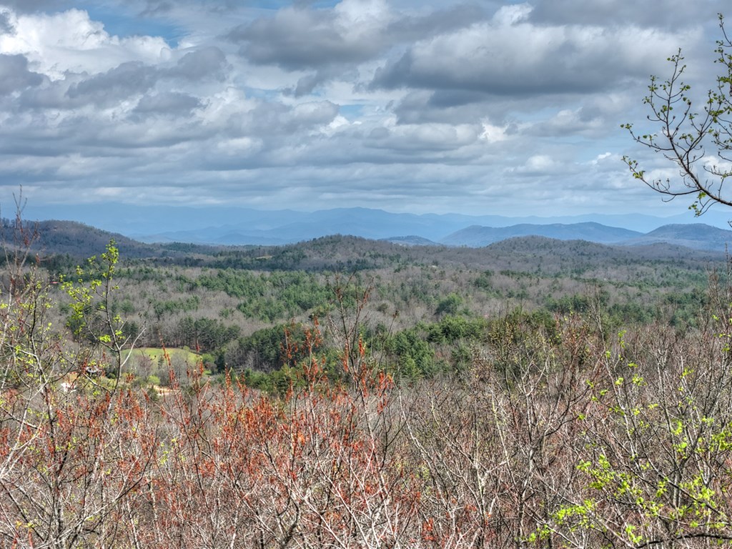 57 Meadow Hill Morganton, GA 30560 - Photo 7 of 59 a view of a field of trees