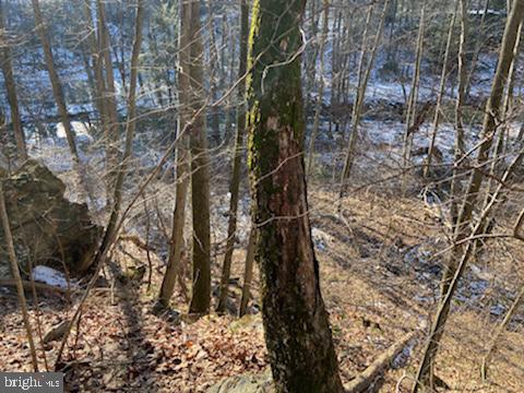 0 Wenzel Road Airville, PA 17302 - Photo 14 of 21 Gallery Image 14