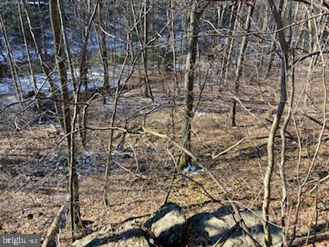 0 Wenzel Road Airville, PA 17302 - Photo 15 of 21 Gallery Image 15