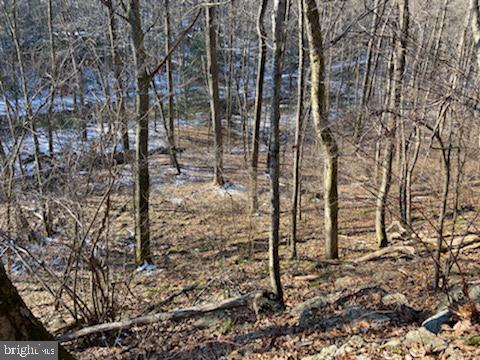 0 Wenzel Road Airville, PA 17302 - Photo 16 of 21 Gallery Image 16