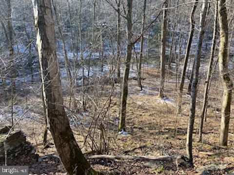 0 Wenzel Road Airville, PA 17302 - Photo 17 of 21 Gallery Image 17
