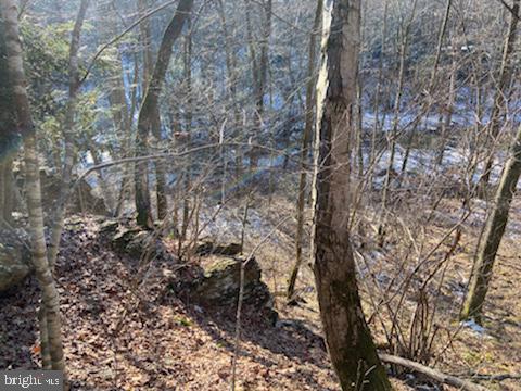 0 Wenzel Road Airville, PA 17302 - Photo 18 of 21 Gallery Image 18