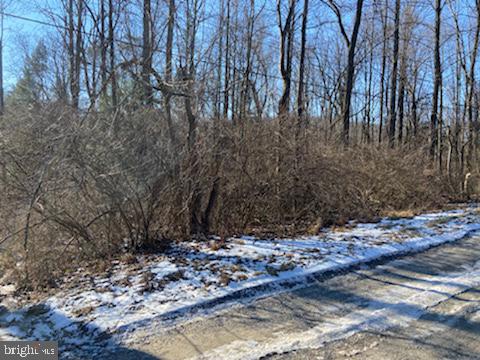 0 Wenzel Road Airville, PA 17302 - Photo 19 of 21 Gallery Image 19