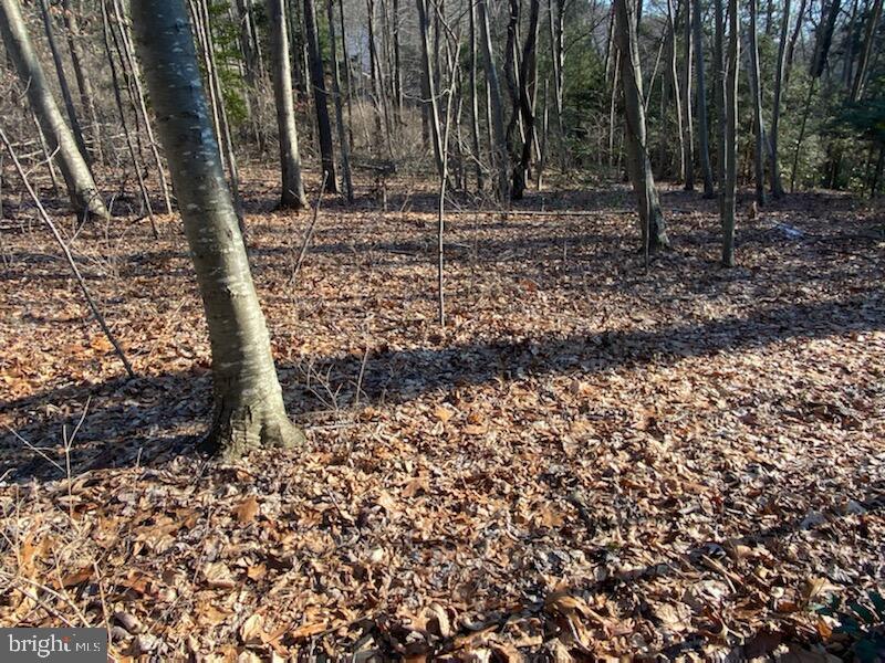 0 Wenzel Road Airville, PA 17302 - Photo 8 of 21 Gallery Image 8