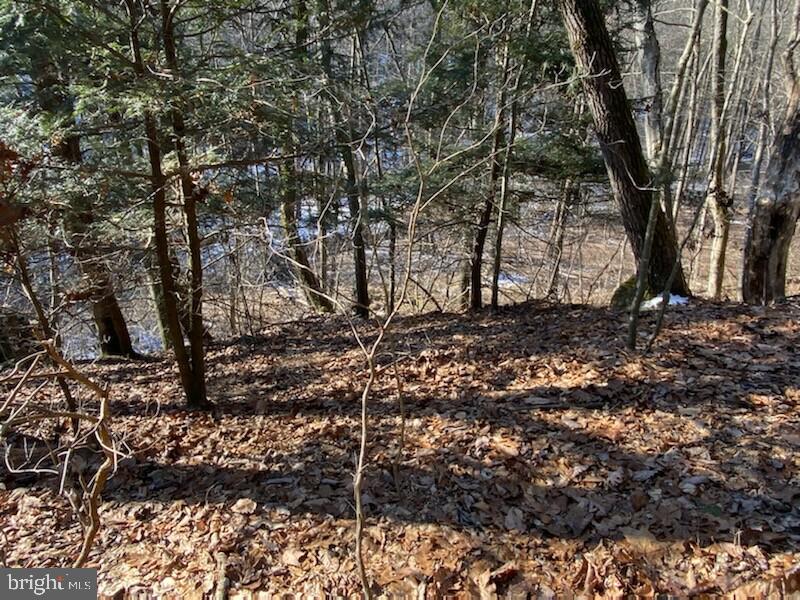 0 Wenzel Road Airville, PA 17302 - Photo 9 of 21 Gallery Image 9