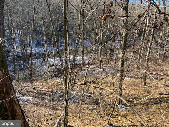 0 Wenzel Road Airville, PA 17302 - Photo 10 of 21 Gallery Image 10