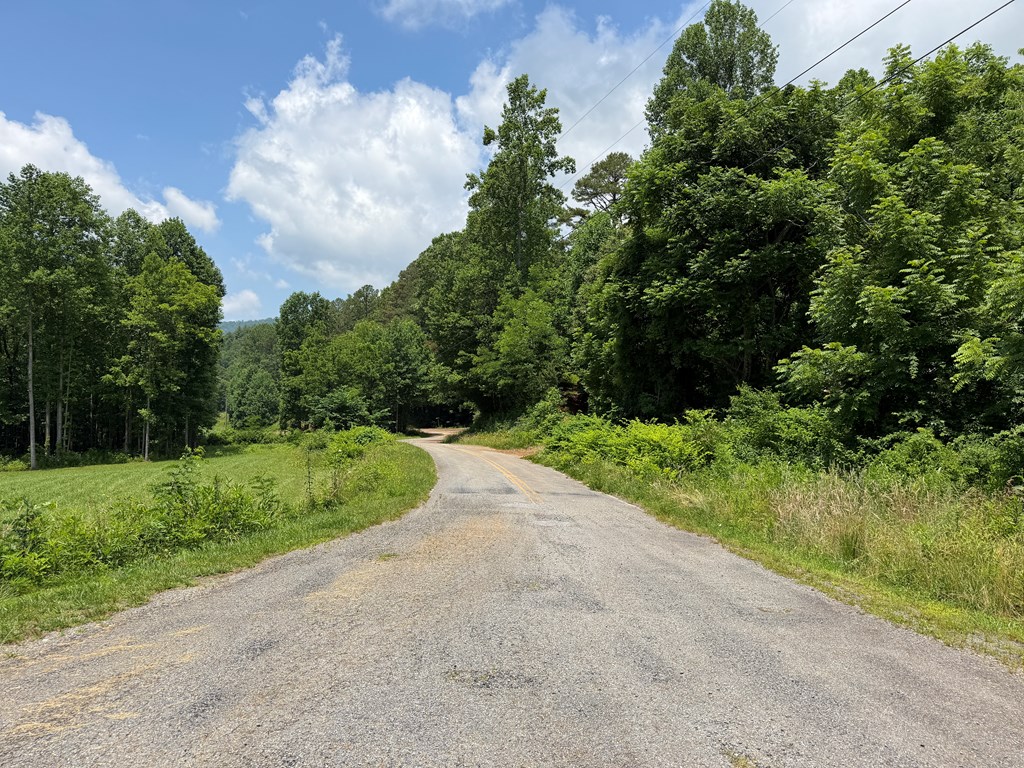 1446 Muskrat Creek Road Hayesville, NC 28904 - Photo 108 of 108