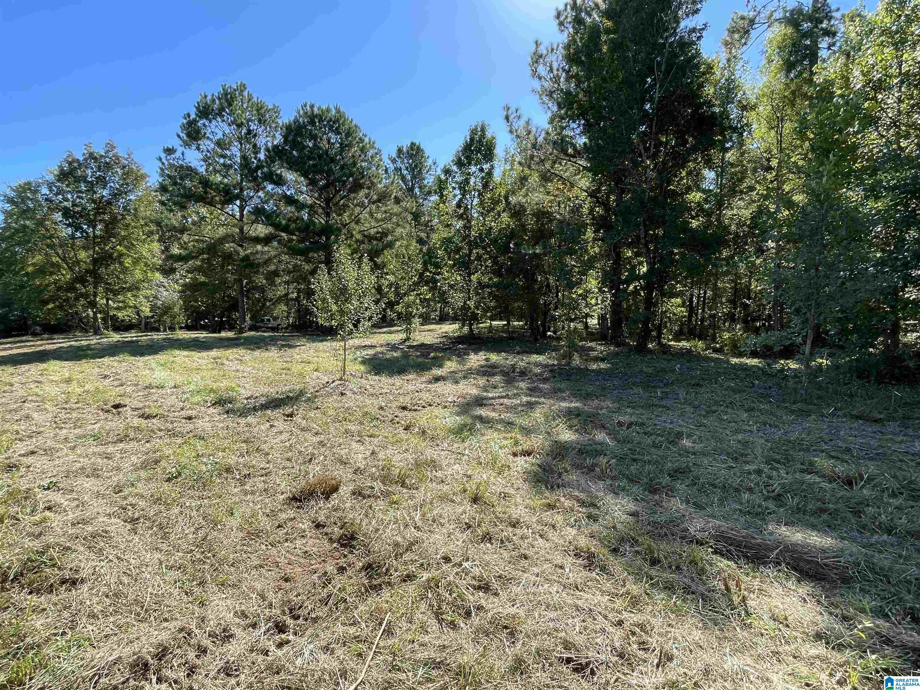 0 Paradise Point Drive Columbiana, AL 35051 - Photo 17 of 23