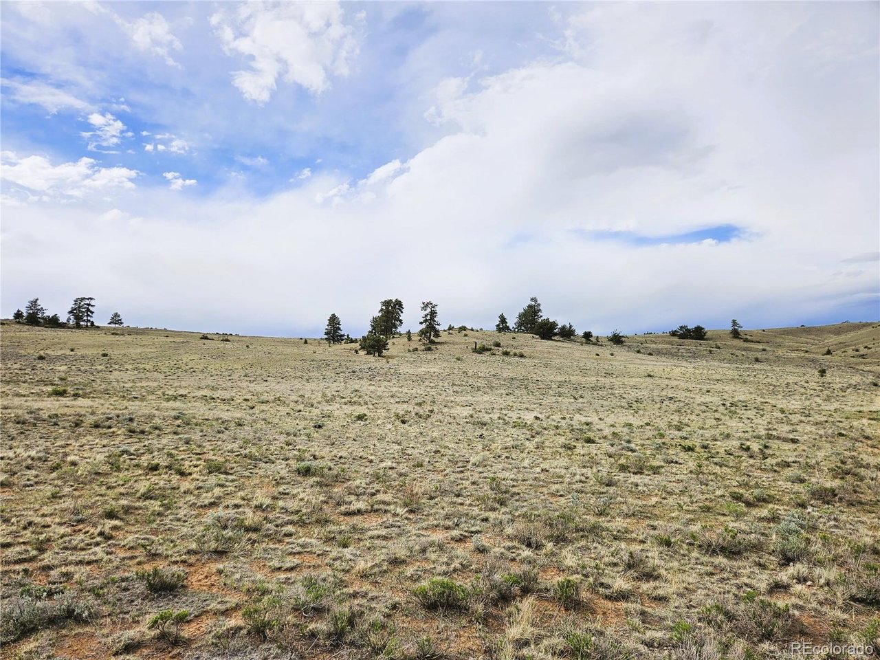 24131 Chato Road Hartsel, CO 80449 - Photo 24 of 28