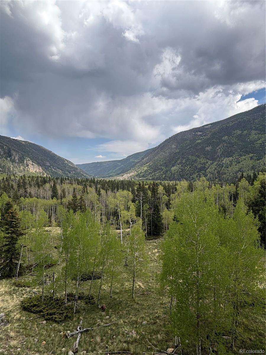 1113 Spring Street Del Norte, CO 81132 - Photo 15 of 45 a view of a city from a yard