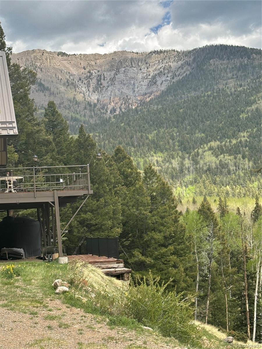 1113 Spring Street Del Norte, CO 81132 - Photo 16 of 45 a view of a house with a yard