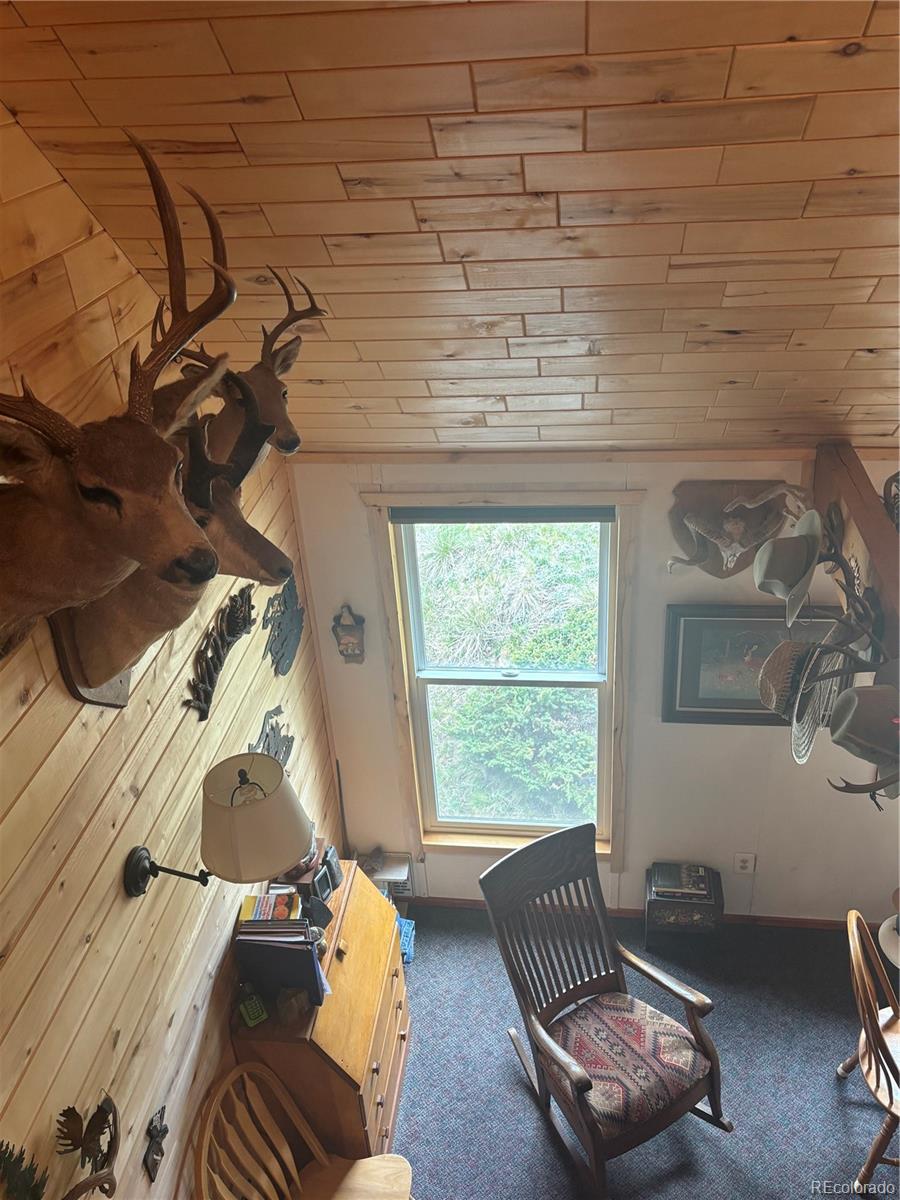 1113 Spring Street Del Norte, CO 81132 - Photo 18 of 45 a living room with furniture and a window