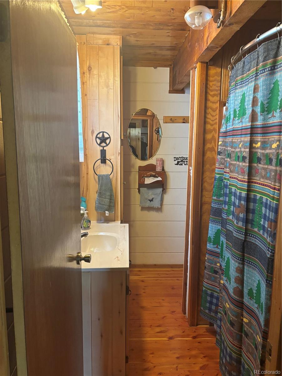 1113 Spring Street Del Norte, CO 81132 - Photo 30 of 45 a bathroom with a sink and mirror