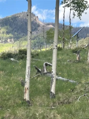 a spacious bedroom with a bed dresser and a large window