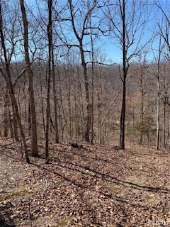 0 Red Wing Road Waynesville, MO 65583 - Photo 16 of 19 Gallery Image 16