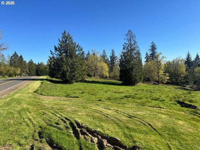 Grimm Road Kelso, WA 98626 - Photo 5 of 10