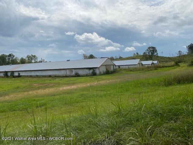 2036 Dodson Road Winfield, AL 35594 - Photo 7 of 37 Gallery Image 7