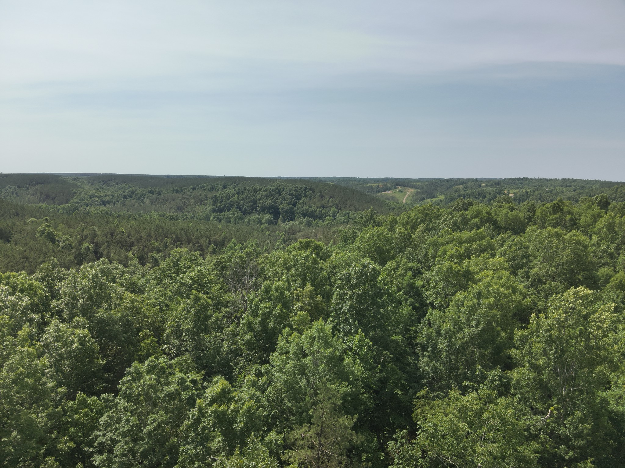 7170 Rockhouse Road Linden, TN 37096 - Photo 21 of 51