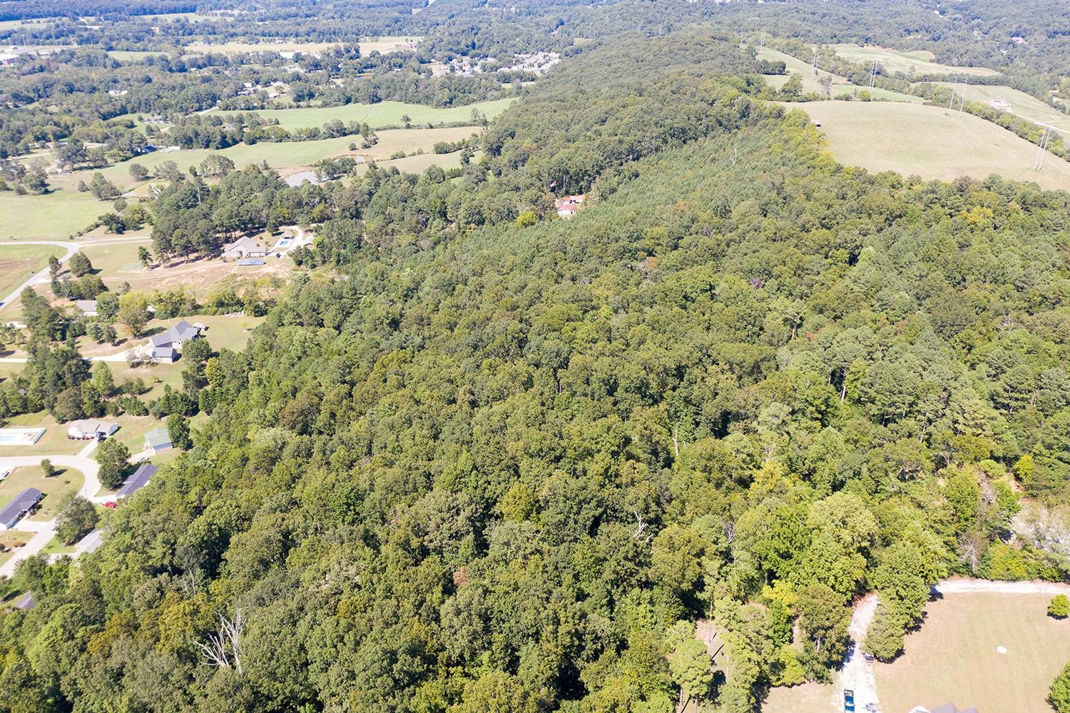 110 Ridgeway Drive Ringgold, GA 30736 - Photo 9 of 11
