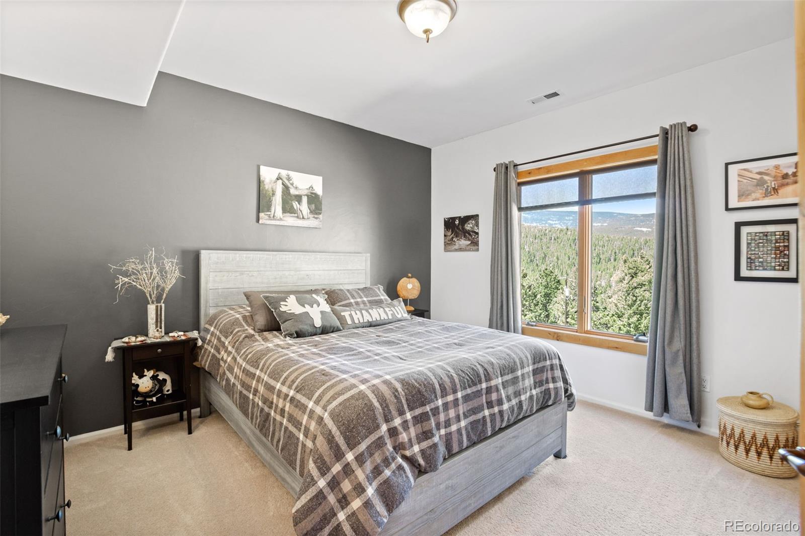 32447 Little Cub Road Evergreen, CO 80439 - Photo 25 of 40