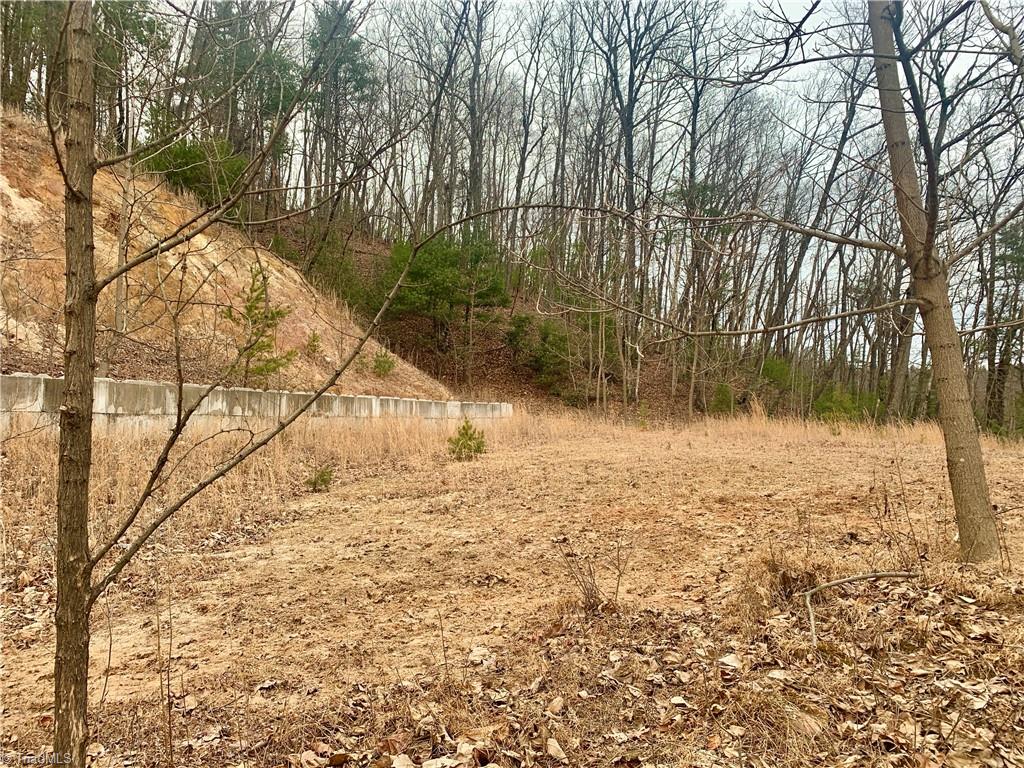 Lot 236 Staghorn Road Purlear, NC 28665 - Photo 1 of 16