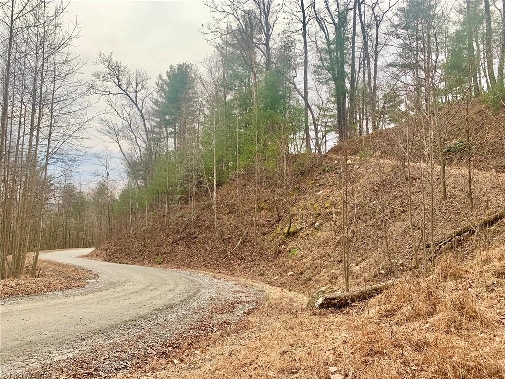 Lot 236 Staghorn Road Purlear, NC 28665 - Photo 2 of 16