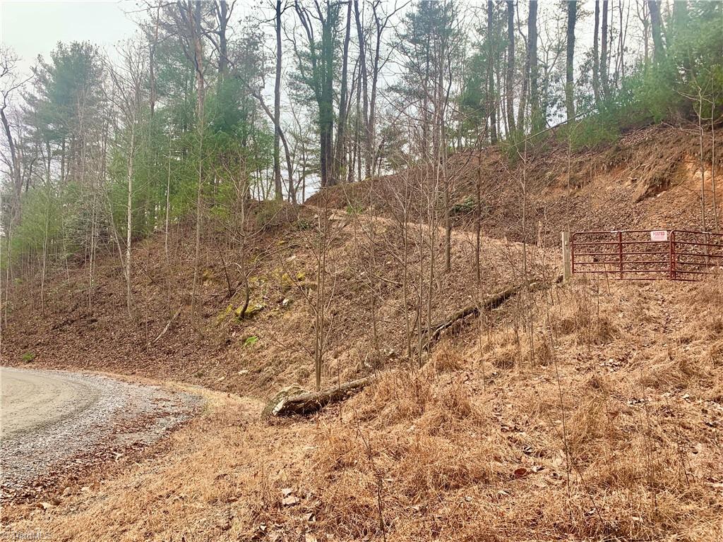 Lot 236 Staghorn Road Purlear, NC 28665 - Photo 15 of 16
