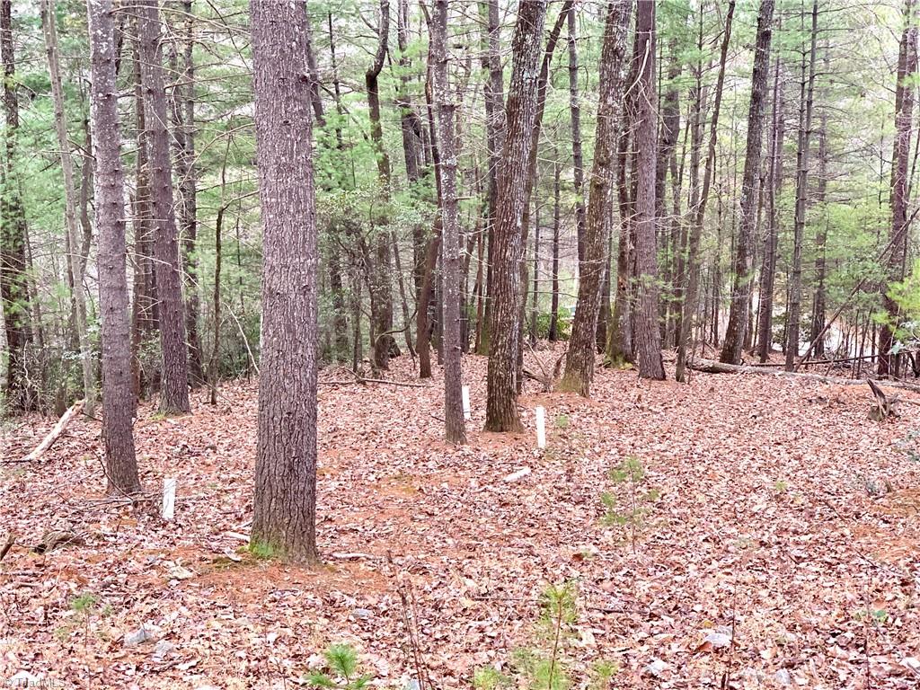 Lot 236 Staghorn Road Purlear, NC 28665 - Photo 3 of 16