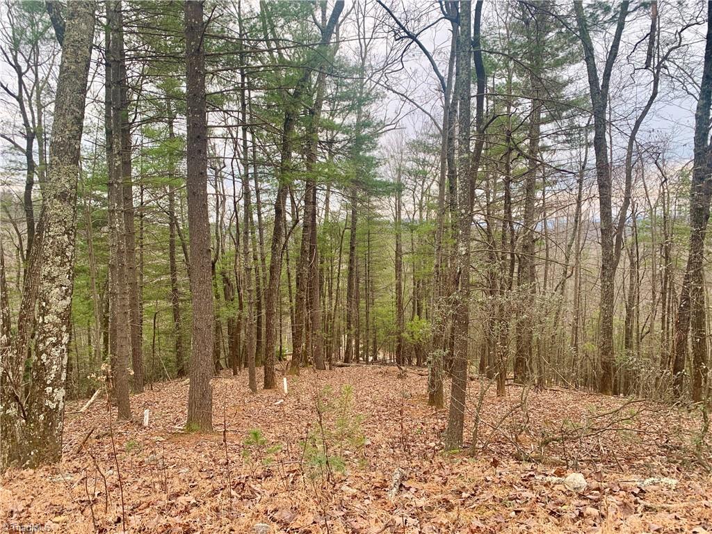 Lot 236 Staghorn Road Purlear, NC 28665 - Photo 4 of 16