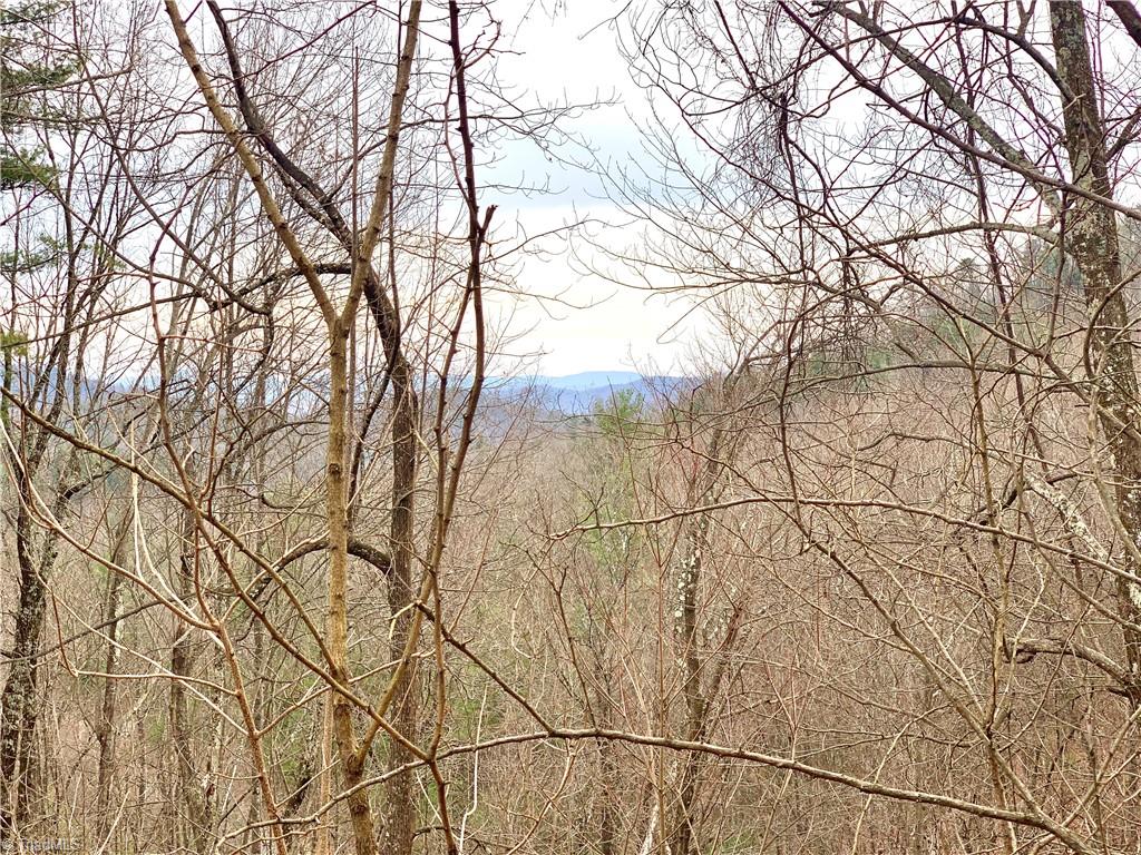 Lot 236 Staghorn Road Purlear, NC 28665 - Photo 5 of 16