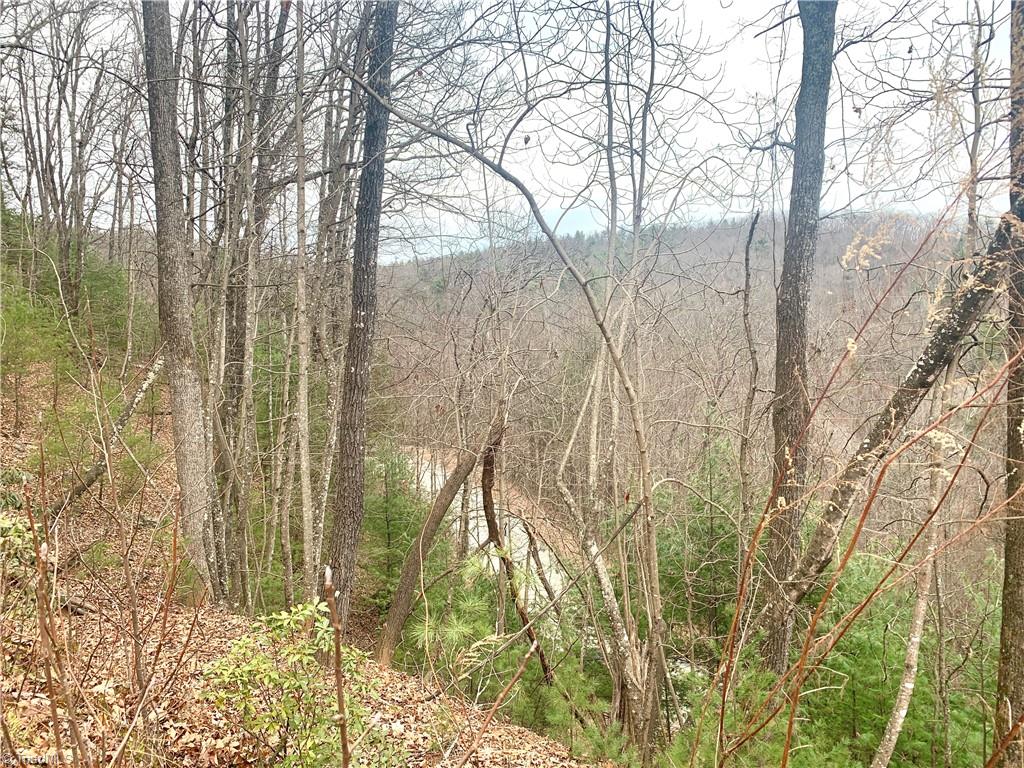 Lot 236 Staghorn Road Purlear, NC 28665 - Photo 6 of 16