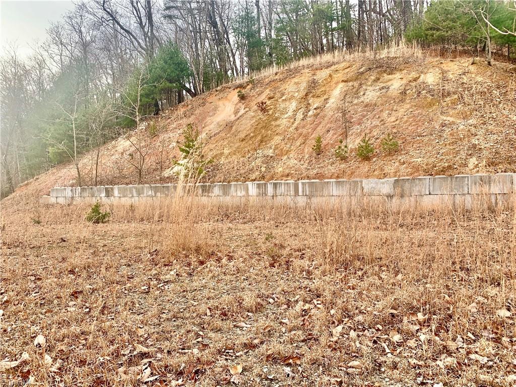 Lot 236 Staghorn Road Purlear, NC 28665 - Photo 8 of 16